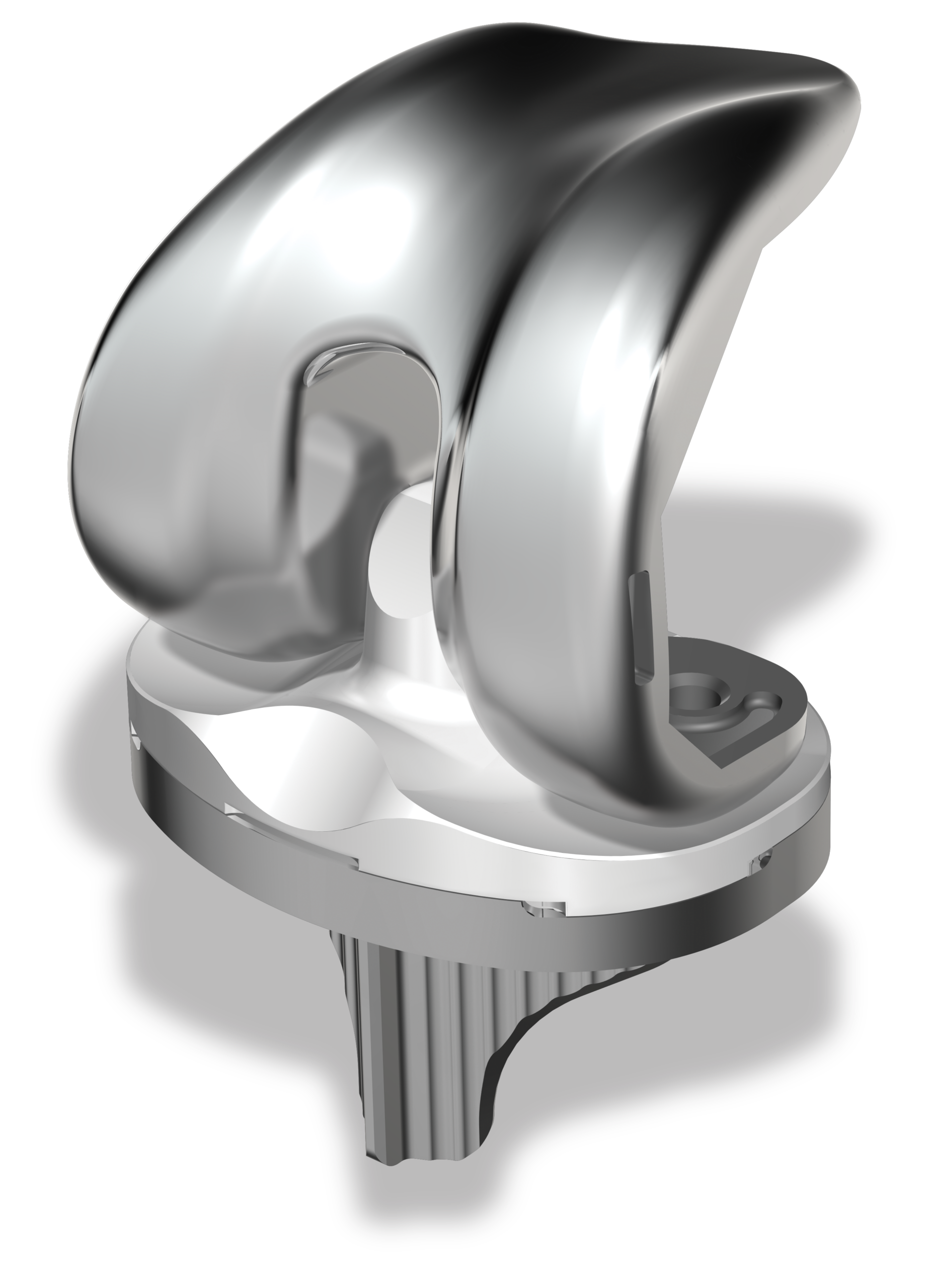 Illustration of a total knee replacement